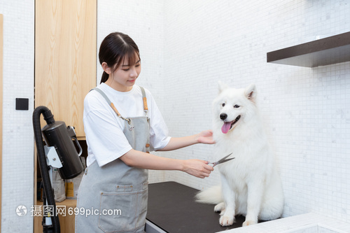 tp钱包下载旧版本
