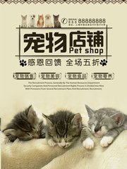 tokenpocket怎么用支付宝充值